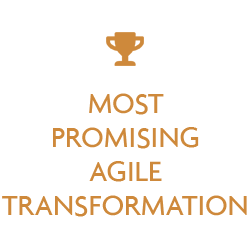 Most Promising Agile Transformation