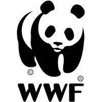 WWF's Logo